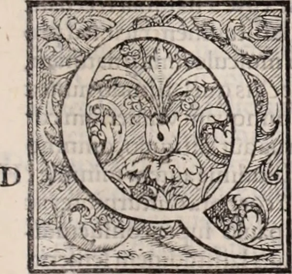 An illustration from Galeni omnia quae extant opera : in latinum sermonem conuersa, 1565, leaf 236