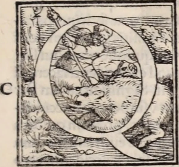 An illustration from Galeni omnia quae extant opera : in latinum sermonem conuersa, 1565, leaf 244