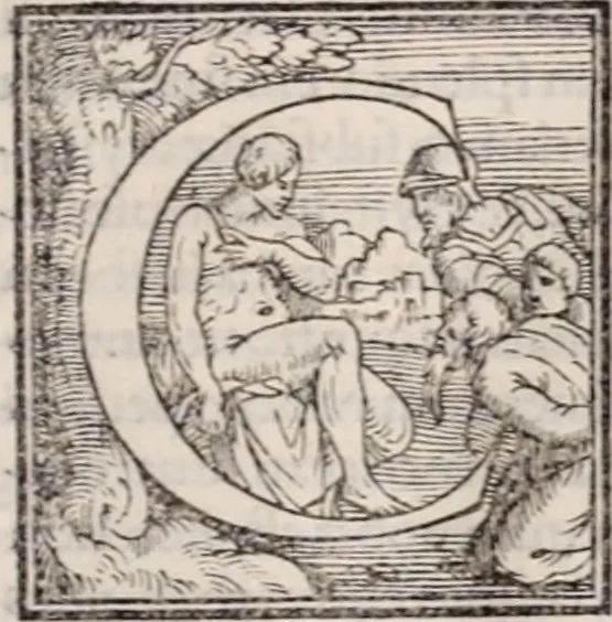 An illustration from Galeni omnia quae extant opera : in latinum sermonem conuersa, 1565, leaf 252