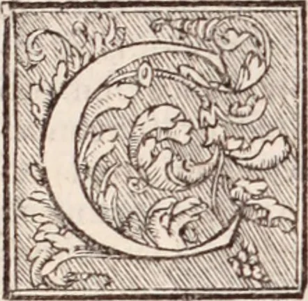 An illustration from Galeni omnia quae extant opera : in latinum sermonem conuersa, 1565, leaf 263