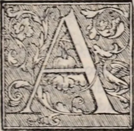 An illustration from Galeni omnia quae extant opera : in latinum sermonem conuersa, 1565, leaf 296