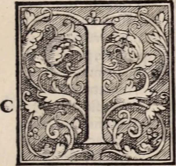 An illustration from Galeni omnia quae extant opera : in latinum sermonem conuersa, 1565, leaf 310
