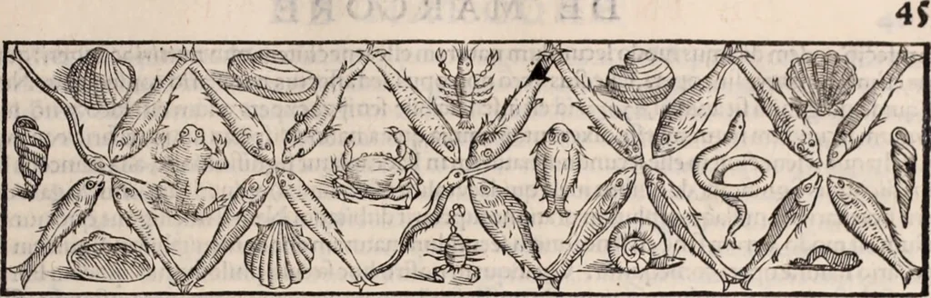 An illustration from Galeni omnia quae extant opera : in latinum sermonem conuersa, 1565, leaf 314