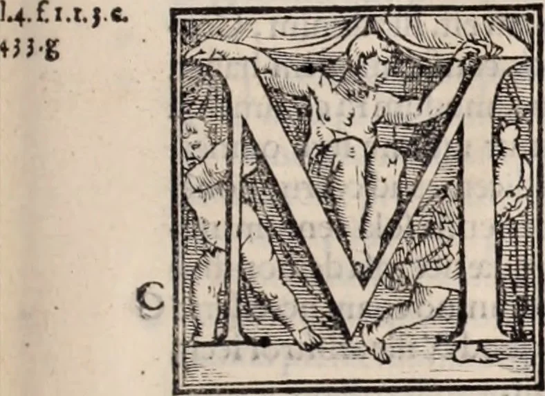 An illustration from Galeni omnia quae extant opera : in latinum sermonem conuersa, 1565, leaf 314