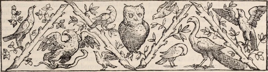 An illustration from Galeni omnia quae extant opera : in latinum sermonem conuersa, 1565, leaf 326