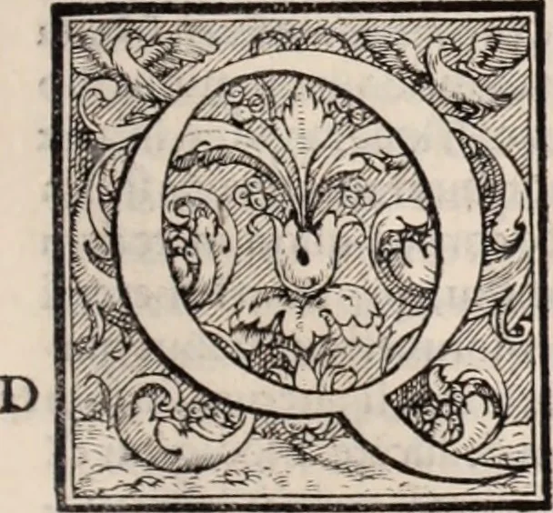 An illustration from Galeni omnia quae extant opera : in latinum sermonem conuersa, 1565, leaf 326