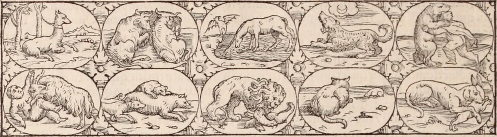 An illustration from Galeni omnia quae extant opera : in latinum sermonem conuersa, 1565, leaf 337