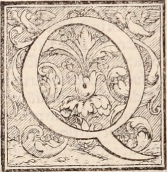 An illustration from Galeni omnia quae extant opera : in latinum sermonem conuersa, 1565, leaf 337
