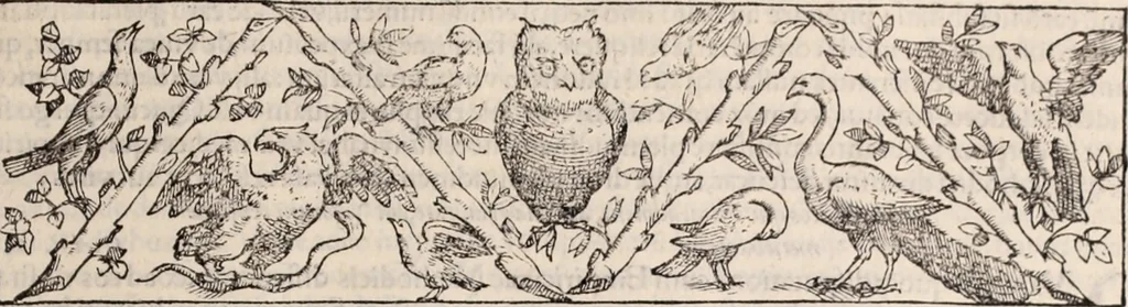 An illustration from Galeni omnia quae extant opera : in latinum sermonem conuersa, 1565, leaf 376