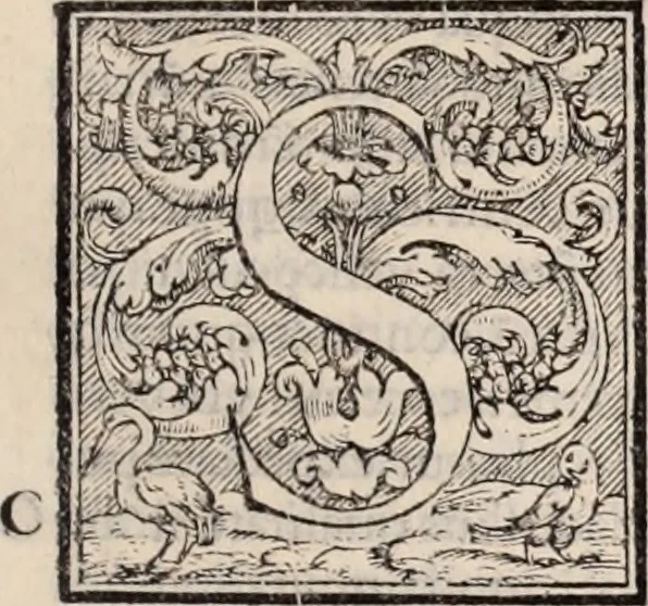 An illustration from Galeni omnia quae extant opera : in latinum sermonem conuersa, 1565, leaf 376