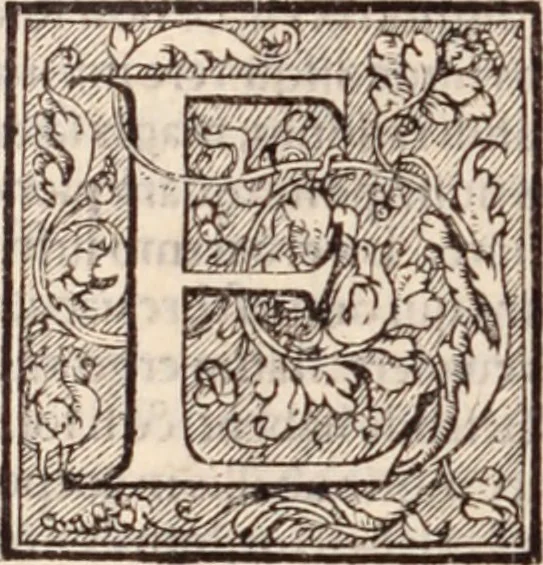 An illustration from Galeni omnia quae extant opera : in latinum sermonem conuersa, 1565, leaf 389