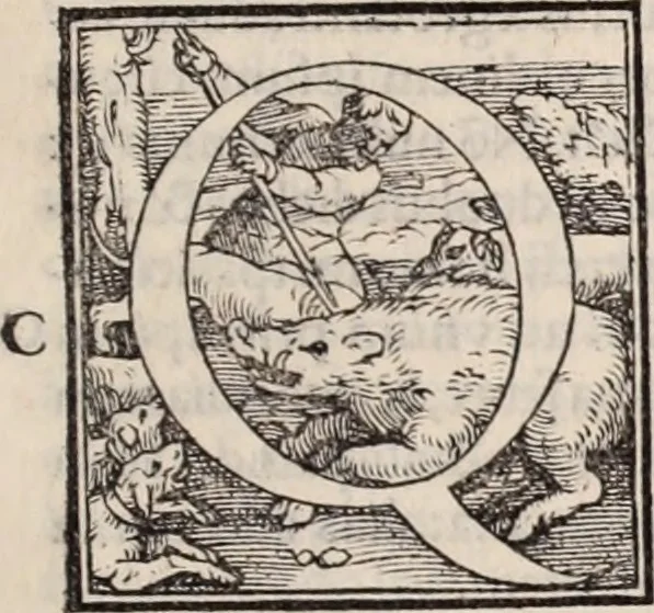 An illustration from Galeni omnia quae extant opera : in latinum sermonem conuersa, 1565, leaf 394