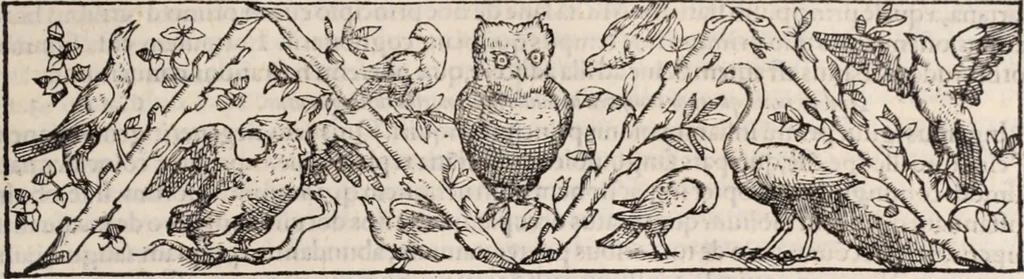 An illustration from Galeni omnia quae extant opera : in latinum sermonem conuersa, 1565, leaf 400