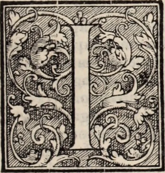 An illustration from Galeni omnia quae extant opera : in latinum sermonem conuersa, 1565, leaf 400