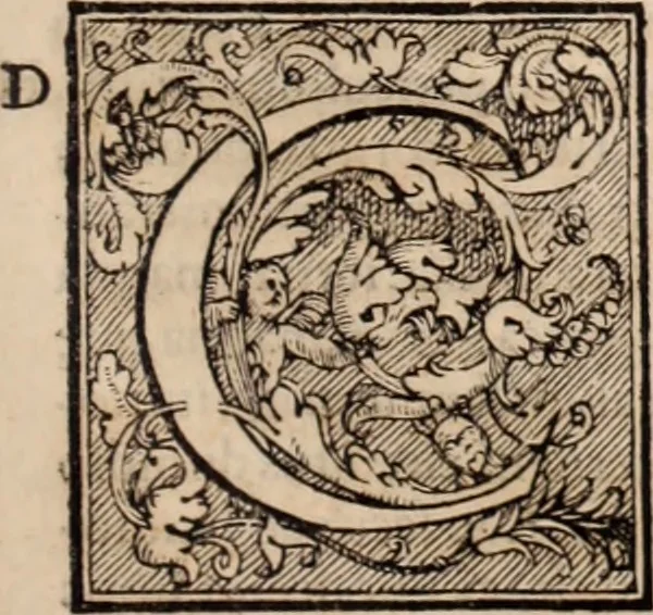 An illustration from Galeni omnia quae extant opera : in latinum sermonem conuersa, 1565, leaf 404