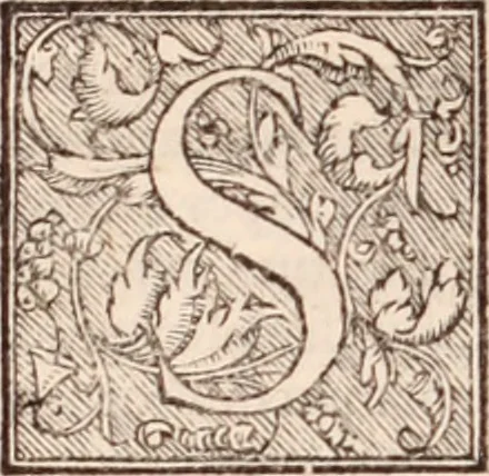 An illustration from Galeni omnia quae extant opera : in latinum sermonem conuersa, 1565, leaf 439