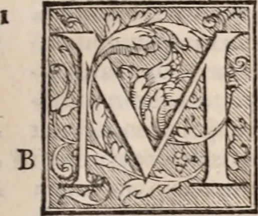 An illustration from Galeni omnia quae extant opera : in latinum sermonem conuersa, 1565, leaf 458