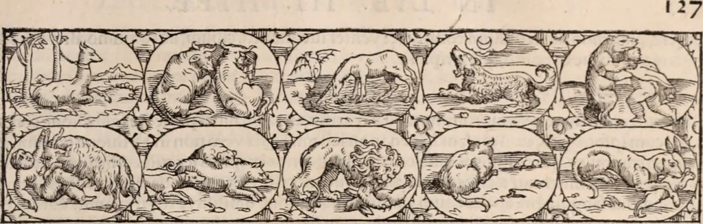 An illustration from Galeni omnia quae extant opera : in latinum sermonem conuersa, 1565, leaf 474