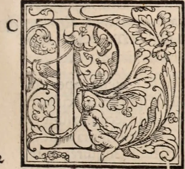 An illustration from Galeni omnia quae extant opera : in latinum sermonem conuersa, 1565, leaf 474