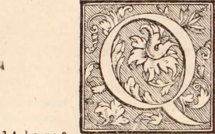 An illustration from Galeni omnia quae extant opera : in latinum sermonem conuersa, 1565, leaf 501