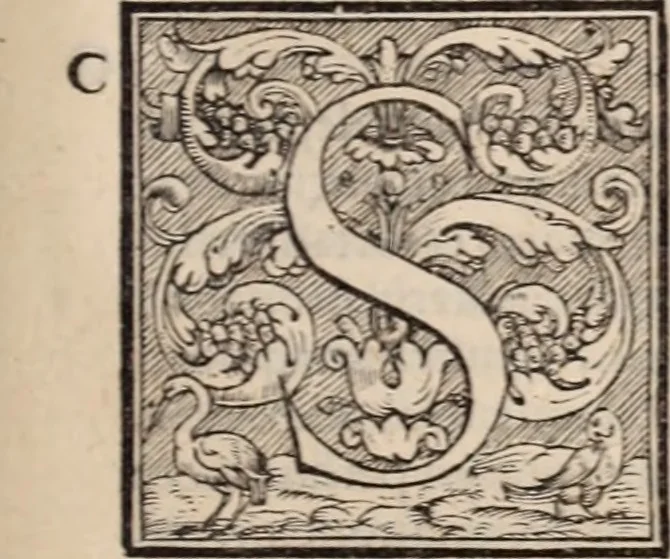 An illustration from Galeni omnia quae extant opera : in latinum sermonem conuersa, 1565, leaf 524