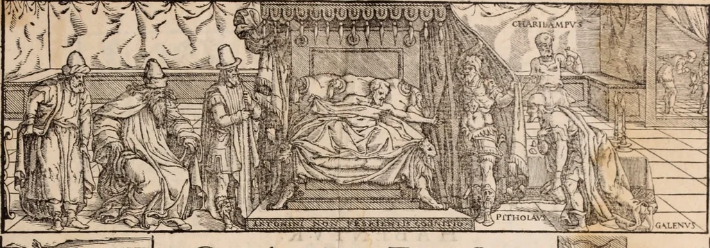 An illustration from Galeni omnia quae extant opera : in latinum sermonem conuersa, 1565, leaf 6