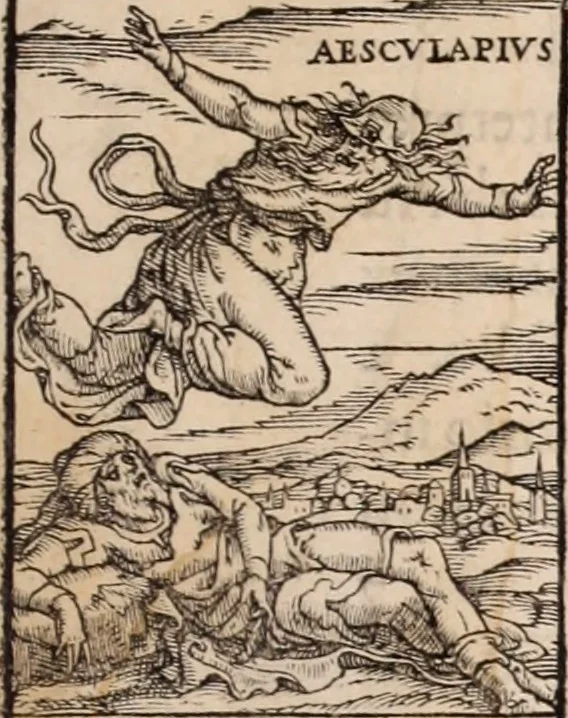 An illustration from Galeni omnia quae extant opera : in latinum sermonem conuersa, 1565, leaf 6
