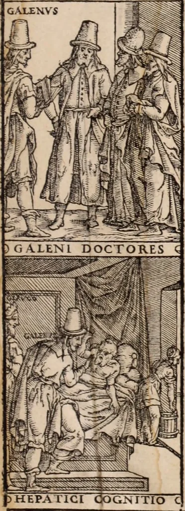 An illustration from Galeni omnia quae extant opera : in latinum sermonem conuersa, 1565, leaf 6