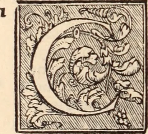 An illustration from Galeni omnia quae extant opera : in latinum sermonem conuersa, 1565, leaf 609