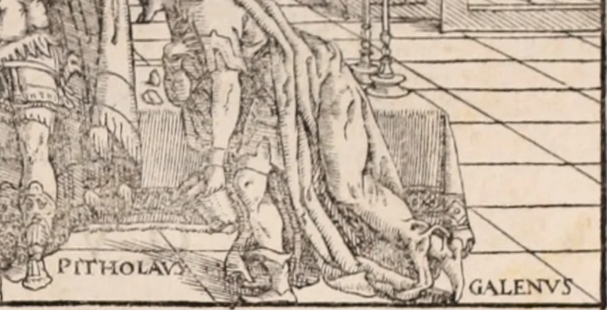 An illustration from Galeni omnia quae extant opera : in latinum sermonem conuersa, 1565, leaf 616