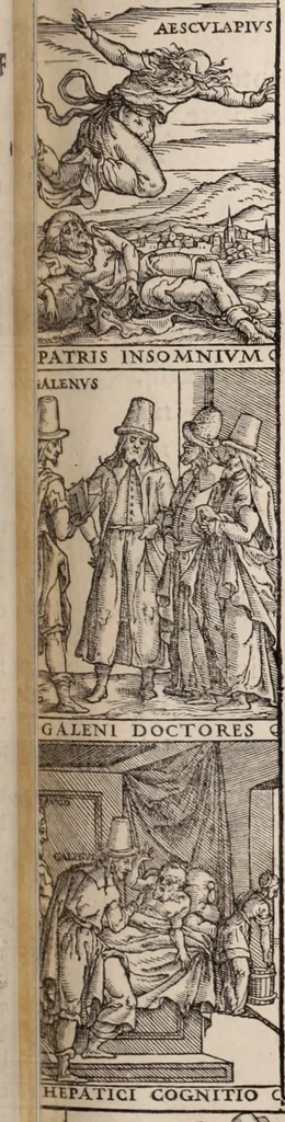 An illustration from Galeni omnia quae extant opera : in latinum sermonem conuersa, 1565, leaf 616