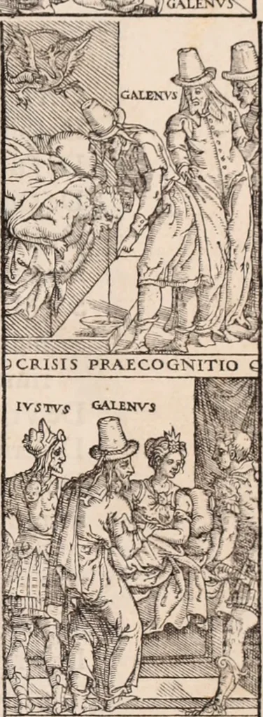 An illustration from Galeni omnia quae extant opera : in latinum sermonem conuersa, 1565, leaf 616