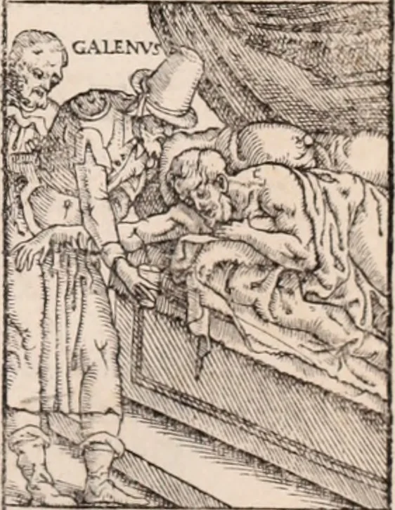 An illustration from Galeni omnia quae extant opera : in latinum sermonem conuersa, 1565, leaf 616