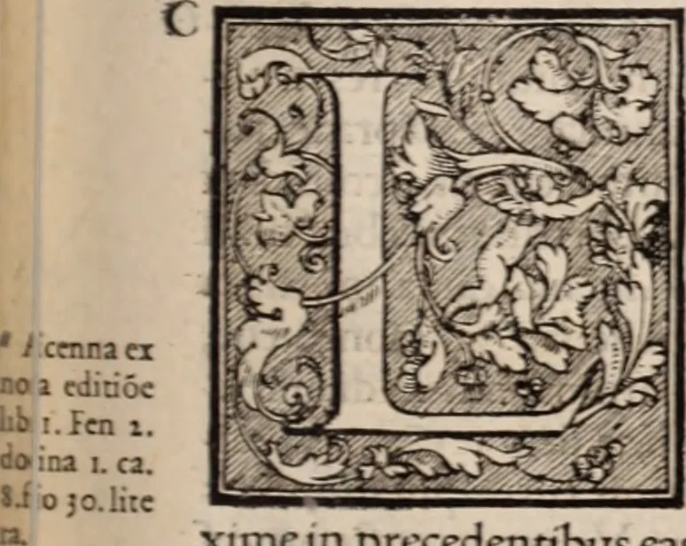 An illustration from Galeni omnia quae extant opera : in latinum sermonem conuersa, 1565, leaf 618