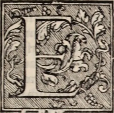 An illustration from Galeni omnia quae extant opera : in latinum sermonem conuersa, 1565, leaf 686