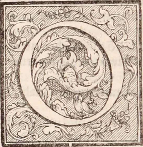 An illustration from Galeni omnia quae extant opera : in latinum sermonem conuersa, 1565, leaf 707