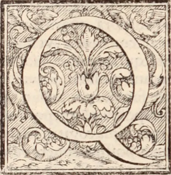 An illustration from Galeni omnia quae extant opera : in latinum sermonem conuersa, 1565, leaf 71