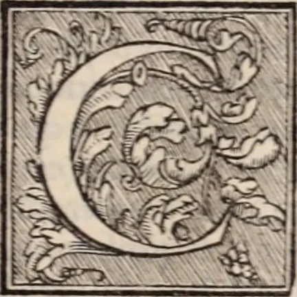 An illustration from Galeni omnia quae extant opera : in latinum sermonem conuersa, 1565, leaf 732