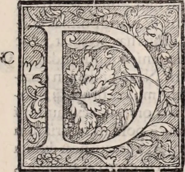 An illustration from Galeni omnia quae extant opera : in latinum sermonem conuersa, 1565, leaf 754