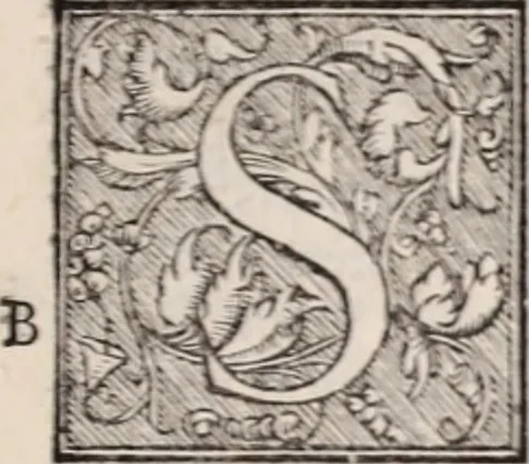 An illustration from Galeni omnia quae extant opera : in latinum sermonem conuersa, 1565, leaf 764