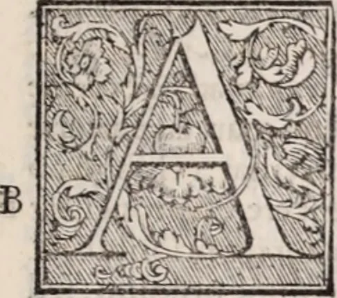 An illustration from Galeni omnia quae extant opera : in latinum sermonem conuersa, 1565, leaf 796