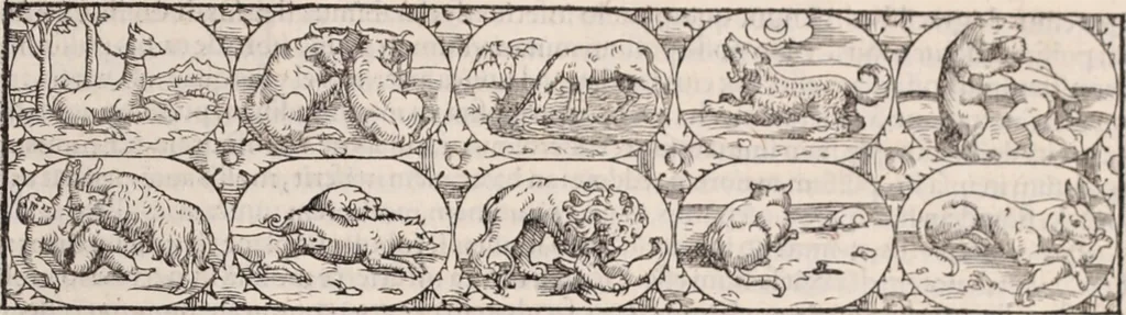 An illustration from Galeni omnia quae extant opera : in latinum sermonem conuersa, 1565, leaf 822