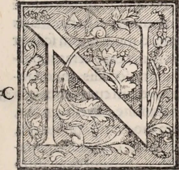 An illustration from Galeni omnia quae extant opera : in latinum sermonem conuersa, 1565, leaf 822