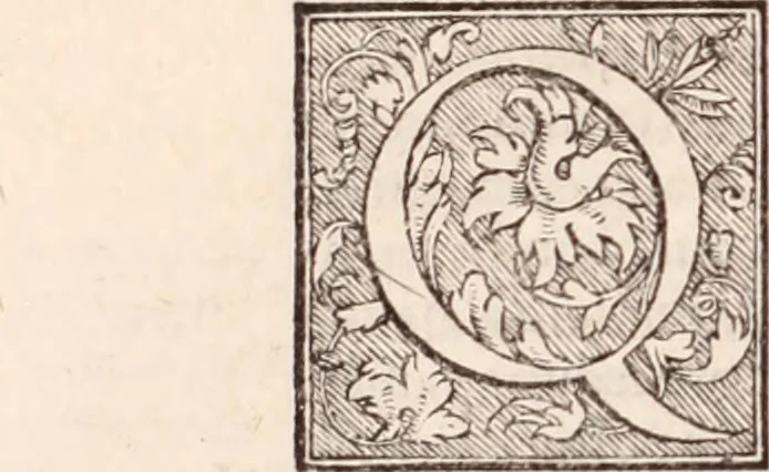 An illustration from Galeni omnia quae extant opera : in latinum sermonem conuersa, 1565, leaf 853
