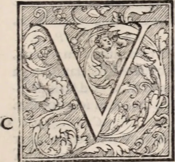 An illustration from Galeni omnia quae extant opera : in latinum sermonem conuersa, 1565, leaf 884