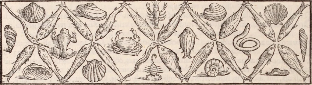 An illustration from Galeni omnia quae extant opera : in latinum sermonem conuersa, 1565, leaf 889