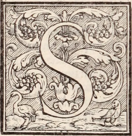 An illustration from Galeni omnia quae extant opera : in latinum sermonem conuersa, 1565, leaf 889