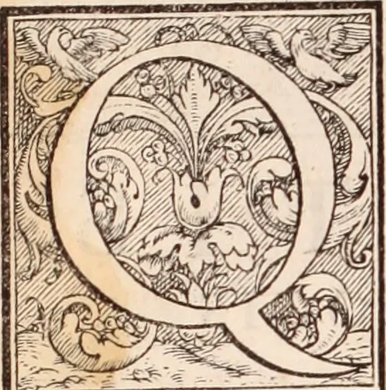 An illustration from Galeni omnia quae extant opera : in latinum sermonem conuersa, 1565, leaf 9