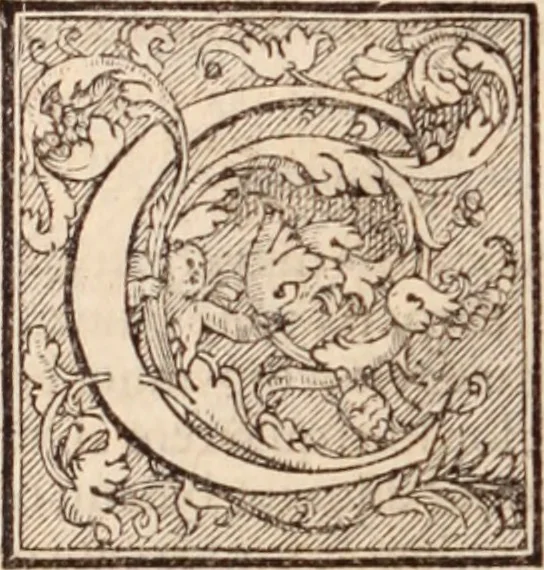 An illustration from Galeni omnia quae extant opera : in latinum sermonem conuersa, 1565, leaf 91