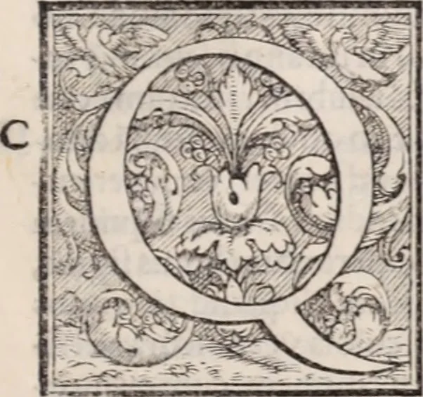 An illustration from Galeni omnia quae extant opera : in latinum sermonem conuersa, 1565, leaf 928